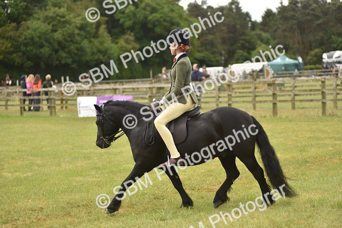 SBM_10713 - Class 110-112 - LIHS BSPS Performance Pones