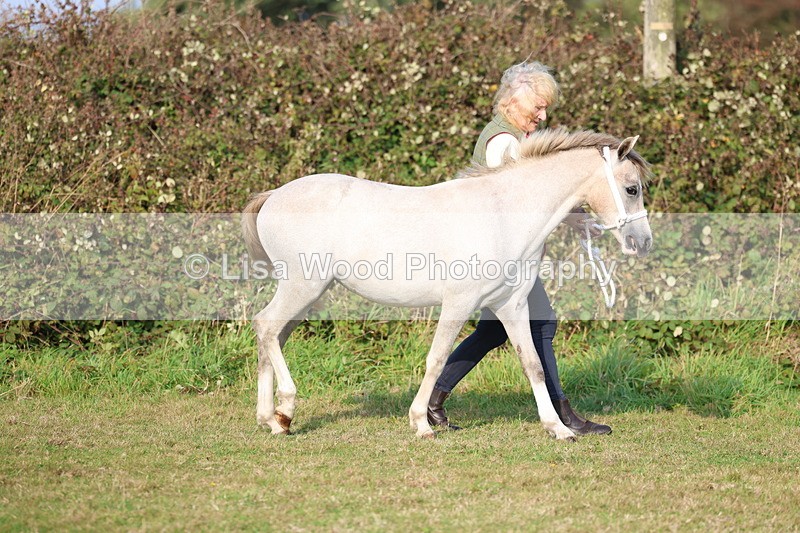 3E7A3113 - Class 12: M & M Small Breeds