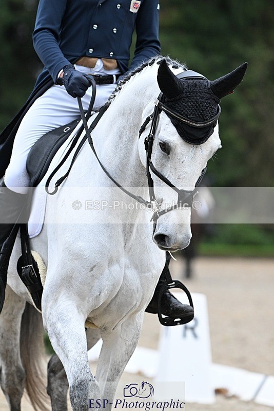 231019-094019-01177 - 027-IE.MR.MCGREGOR-Will.Furlong-DR