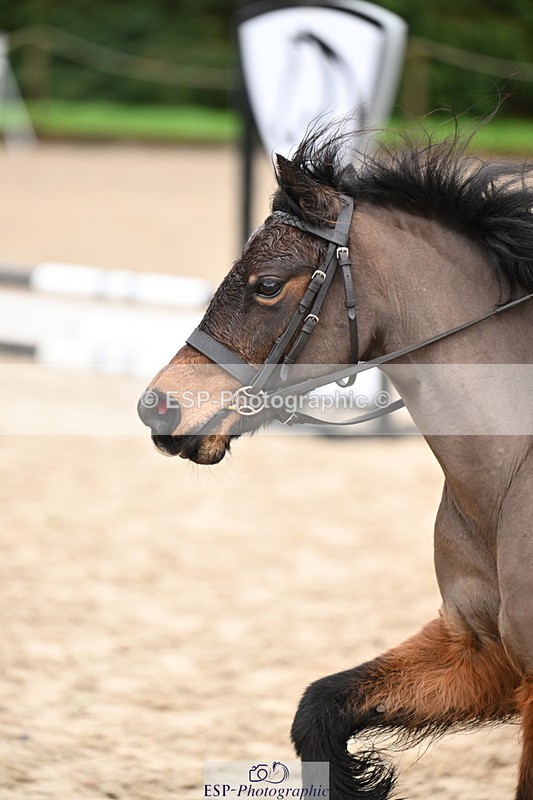 260222A-112019-00574 - 50cm All sections