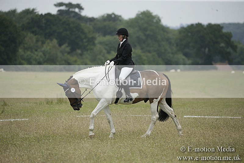 B230619-0648 - Bourne Valley Riding Club Summer Show 23/06/19