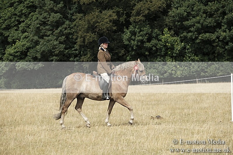 _PJP6111 - Ridden Championship BVRC Show 2018