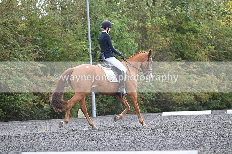 WJ7_6777 - Time 14:49 to 15:14