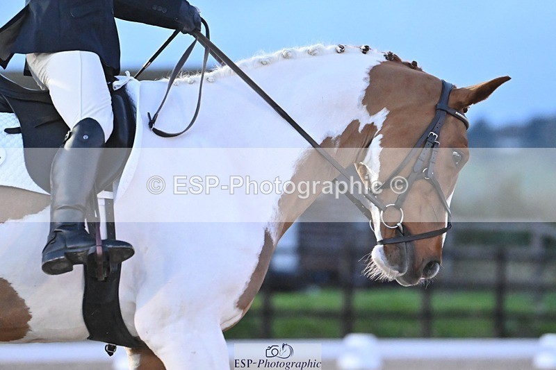 231105-165036-04121 - Cls 4 Novice 24 16.41 to End