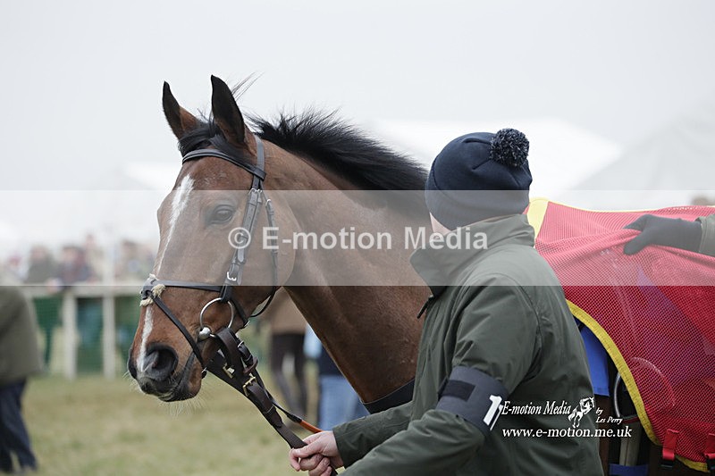 PtP 040323 768 - Duke of Beauforts Hunt Point-to-Point Didmarton 04/03/23