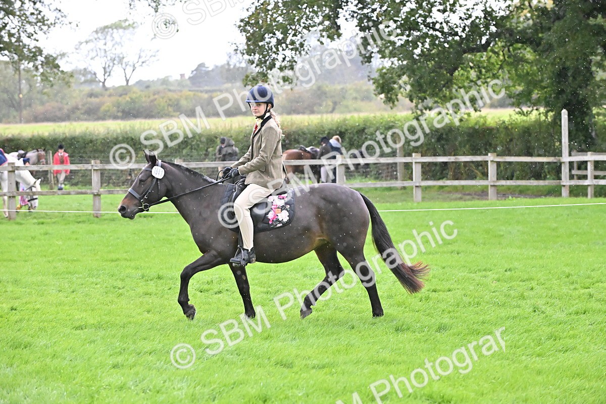 SBM_42931 - S12 - Family Horse & Pony