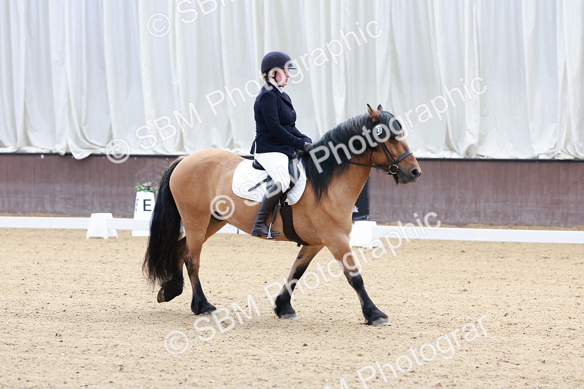 SBM_003209 - Intro 2