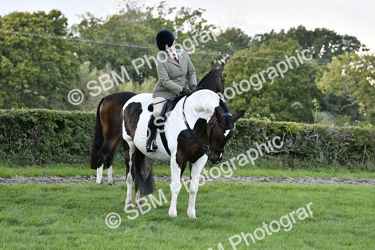SBM_53600 - S14 - Riding Club Horse