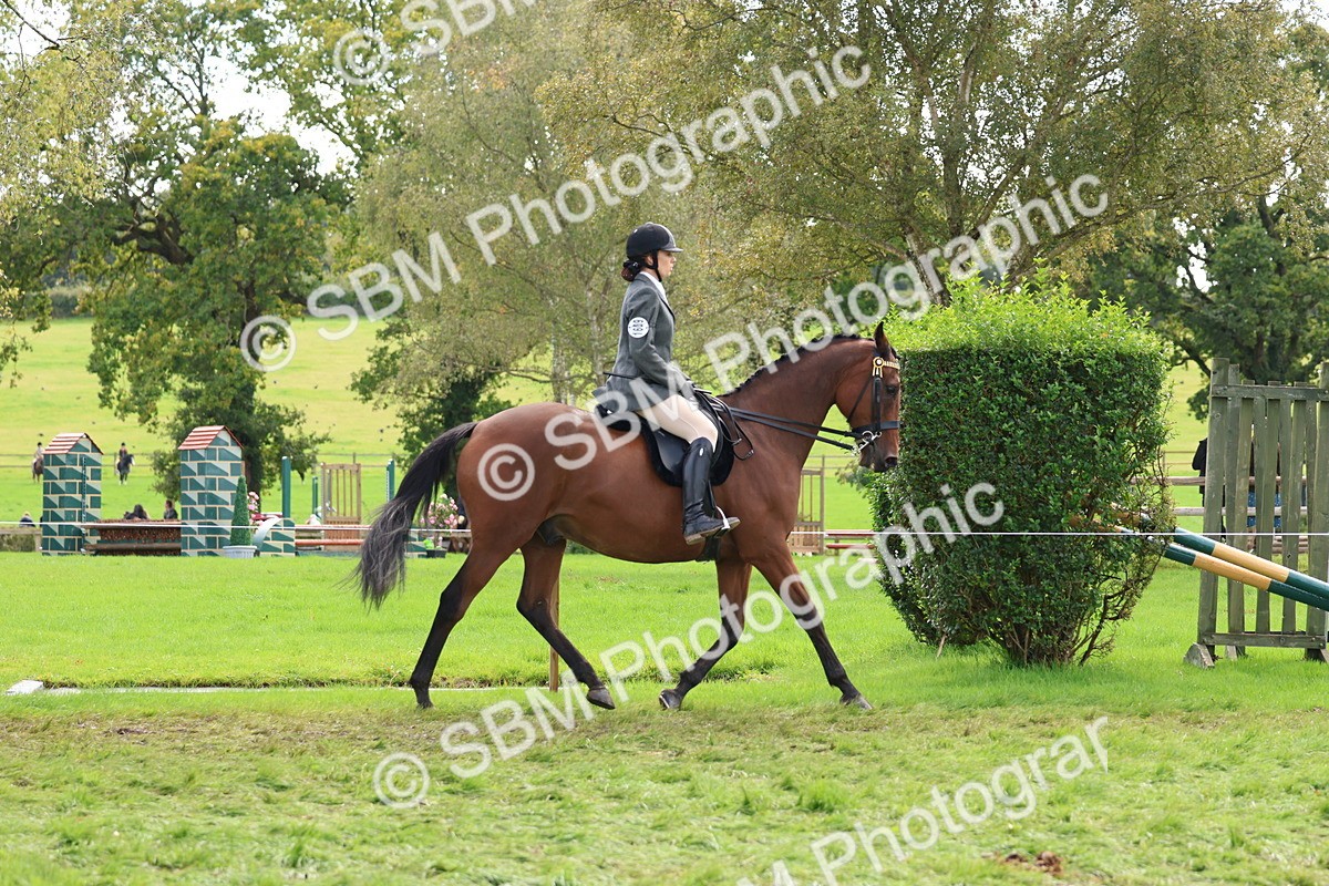 SBM_45181 - S27 - Young Veteran Ridden