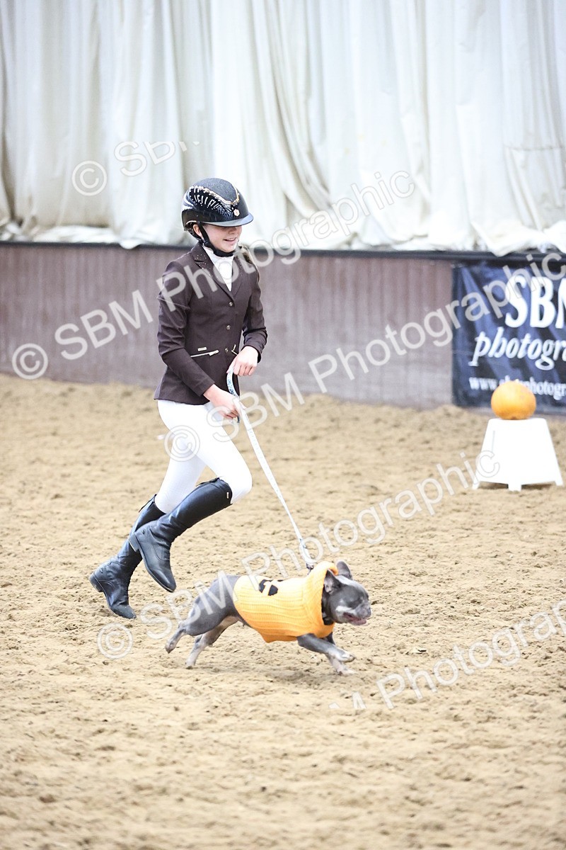 SBM_001199 - Class 3 - Horse & Hound 60cm