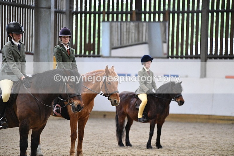 WJ5_8670 - Class 14 Novice Ridden/Rider