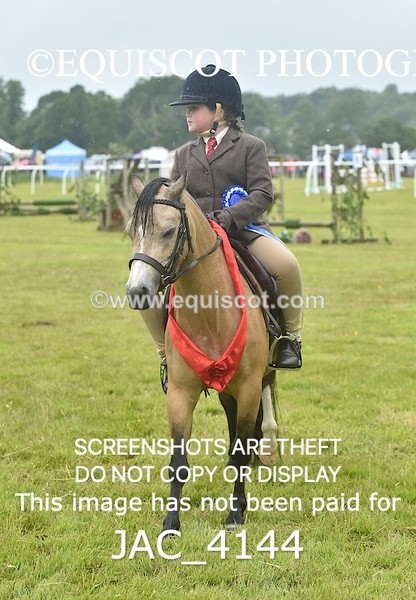 JAC_4144 - 40CM WORKING HUNTER