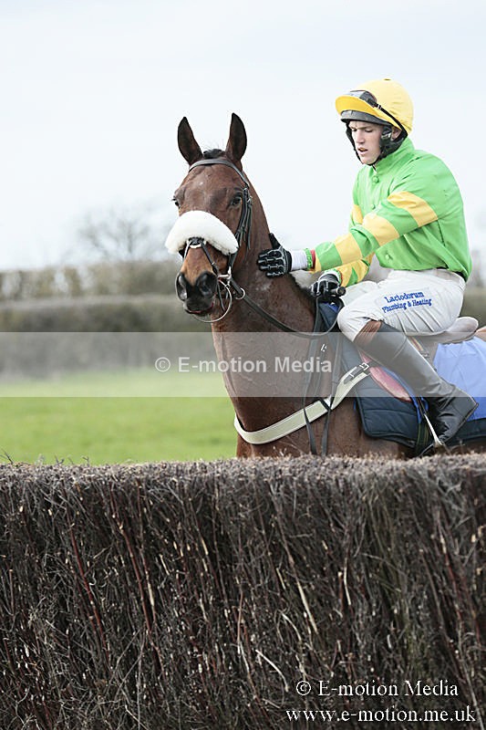 PtP 230319 223 - VWH Hunt Siddington Point-to-Point Racing 23/03/19