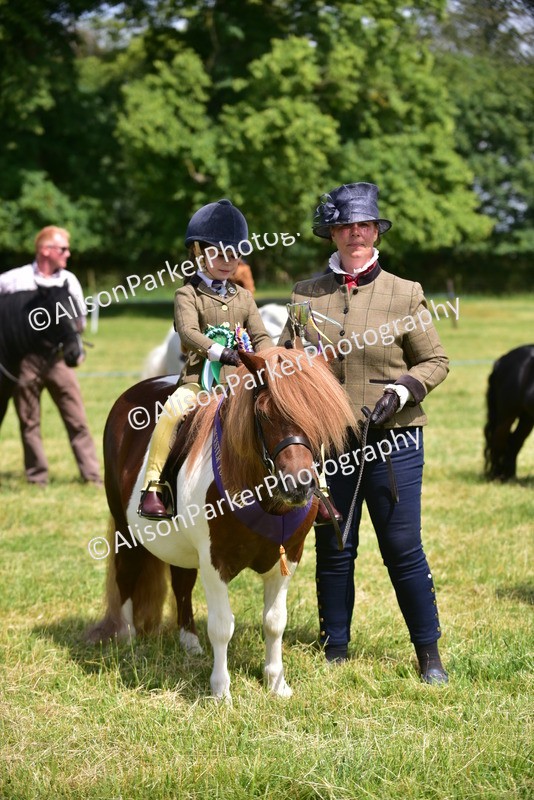 20260614-1294 - Class 11a - Lead Rein Pony (Unplaited)