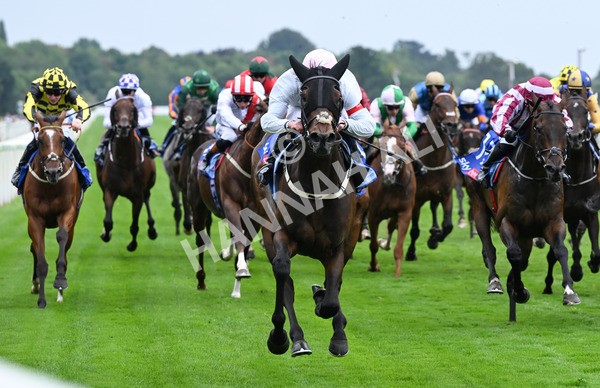 230825-126 Ethical Diamond - Race 4 3.35pm Sky Bet Ebor Handicap