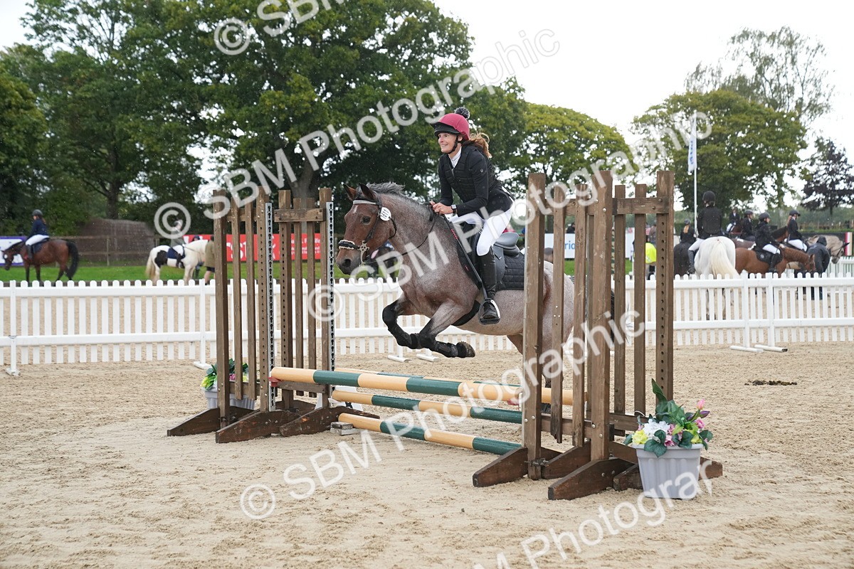 SBM_01434 - J54 - Clear Round 50cm