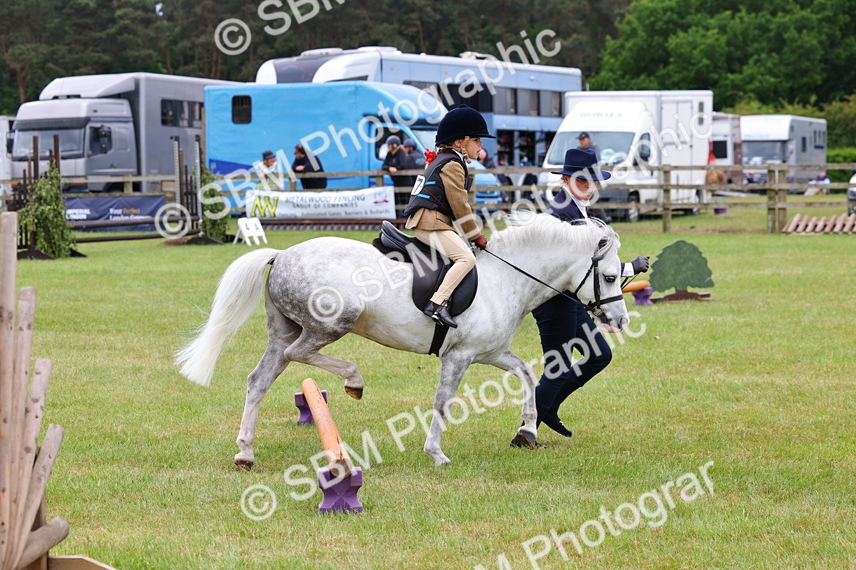 SBM_08139 - Class 42-43 - LIHS BSPS Heritage Working Sports Pony