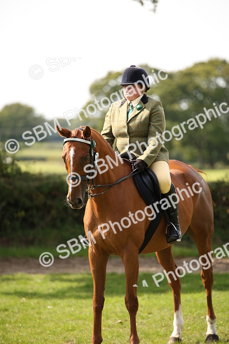 SBM_65992 - S64 - Riding Horse & Hack & Thoroughbred Ridden