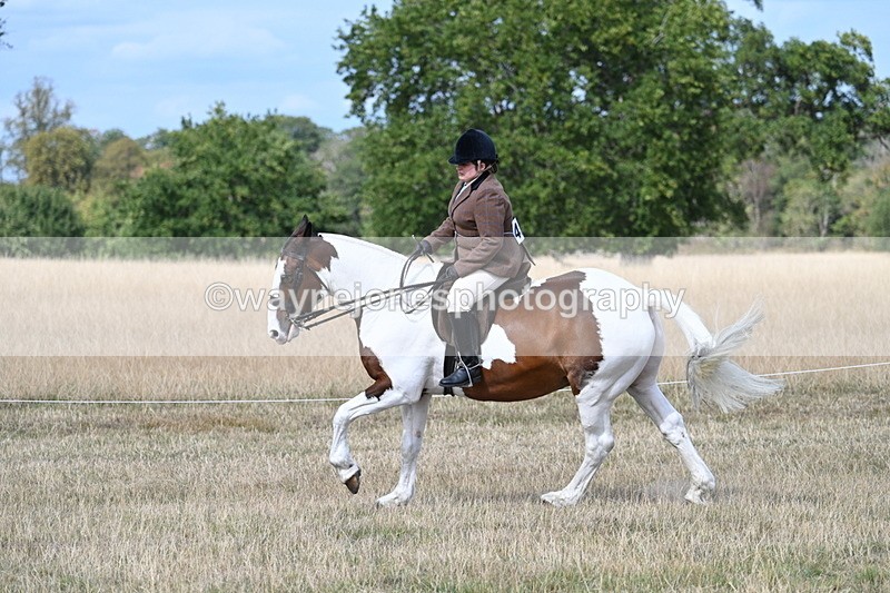 WJ7_7044 - Class 14 Ridden Coloured