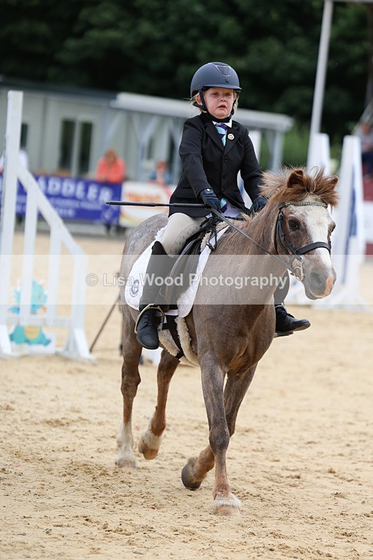 3E7A8146 - Class 1: 40cm