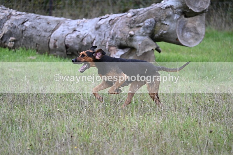 WJ7_3519 - Camera 1 Line 1