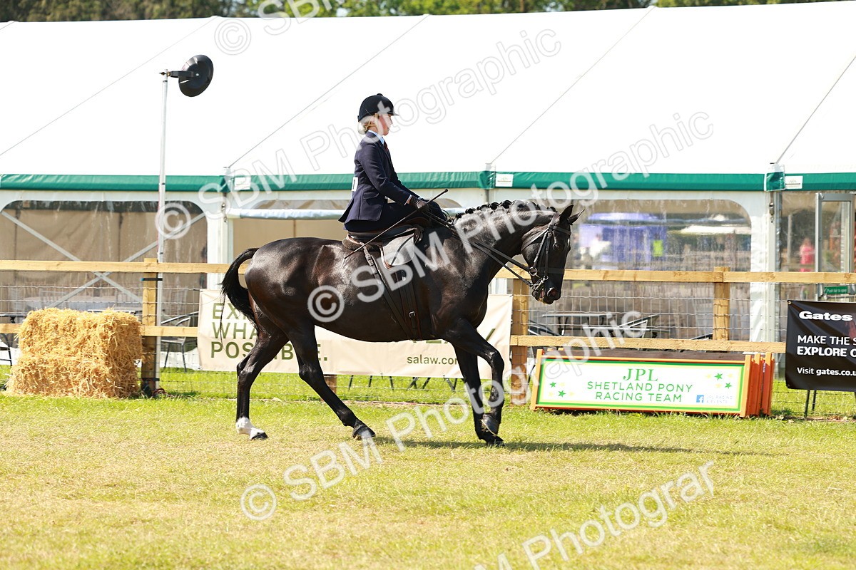 SBM_13315 - Class 70-71 - Side Saddle