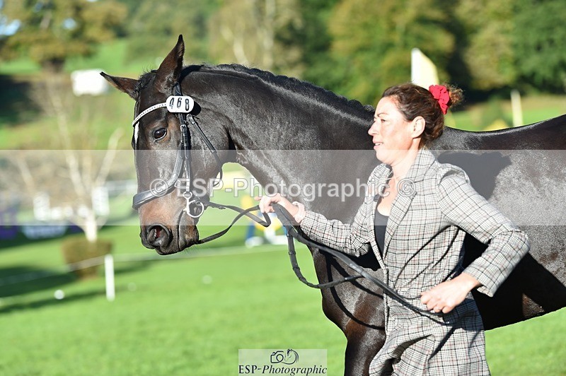 231022-101334-22320 - 468-PRIMITIVE.DAYLIGHT-Alexandra.Erskine.Scott-TrotUp+SJ