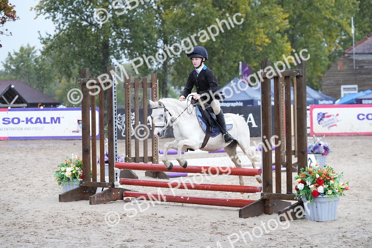 SBM_33905 - J5 - Junior Pony 50cm Championship