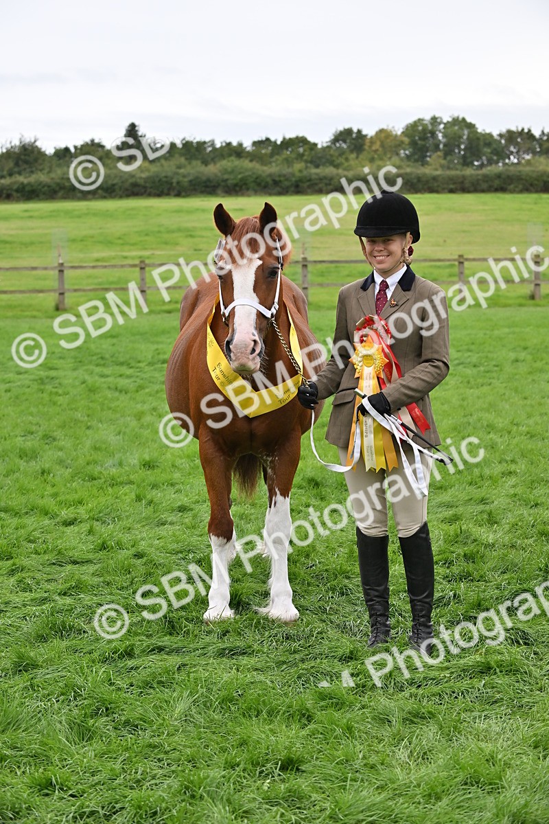 SBM_65030 - In Hand Pony & Younstock Supreme Championship