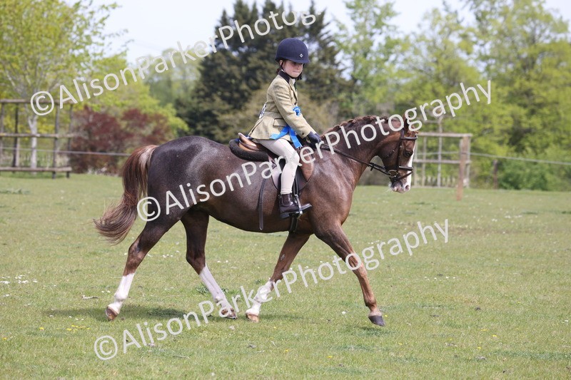 20260426-4089 - Small Pony Championship