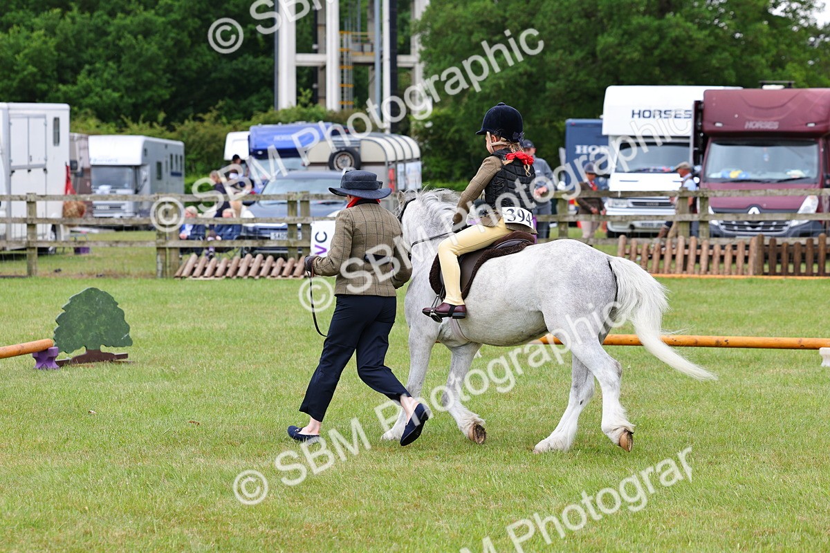 SBM_08209 - Class 42-43 - LIHS BSPS Heritage Working Sports Pony