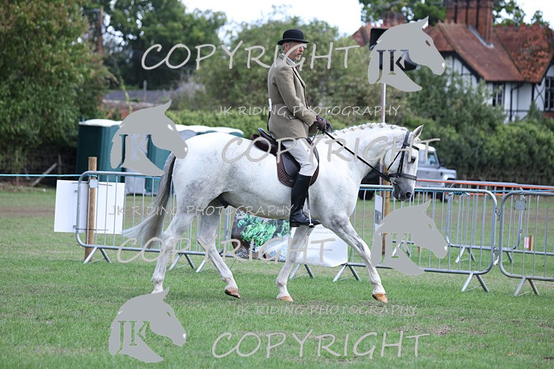 APP_4117 - Class 15a/b Pony club pony/Riding club horse