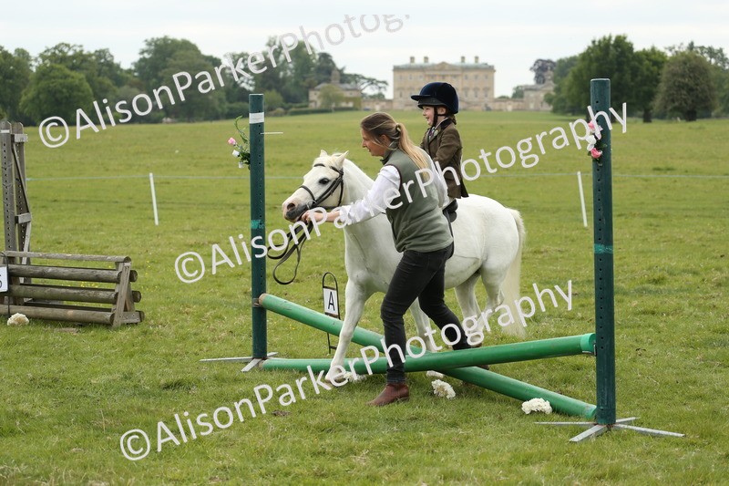 20250517-0548 - Class 20 - Beginners Working Hunter