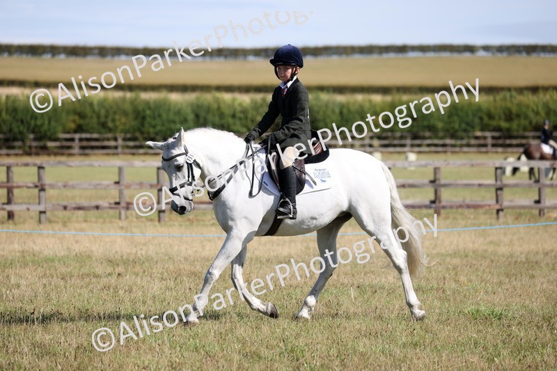 20260906-2190 - Class 16 - Family Pony