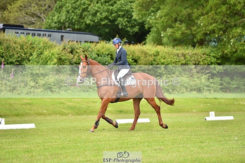 240523B-131346-02345 - 5 Year Old