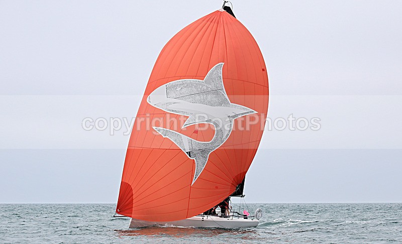 210703 SHARK 1Y3A0762 - ROUND THE ISLAND RACE 2021