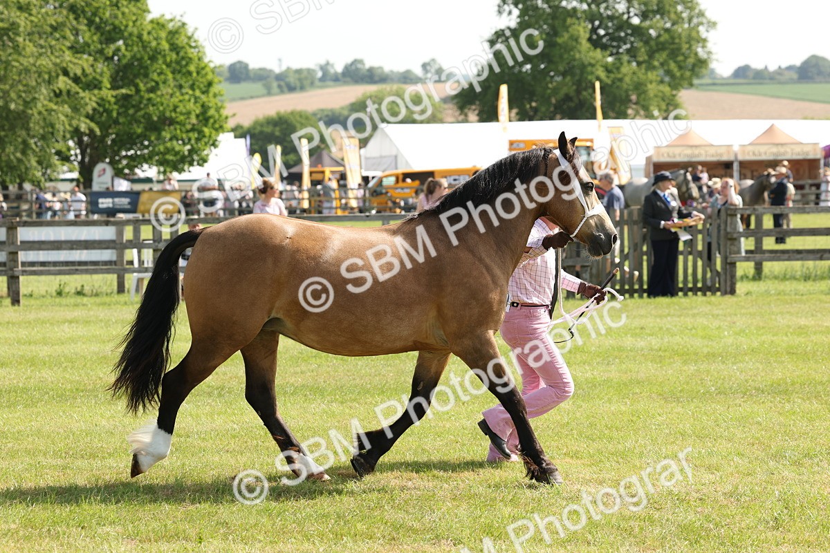 SBM_02123