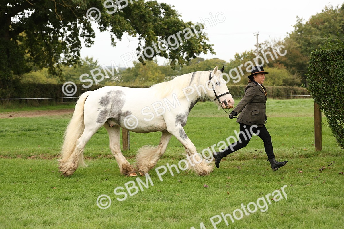 SBM_59264 - S57 - Traditional Cob In Hand