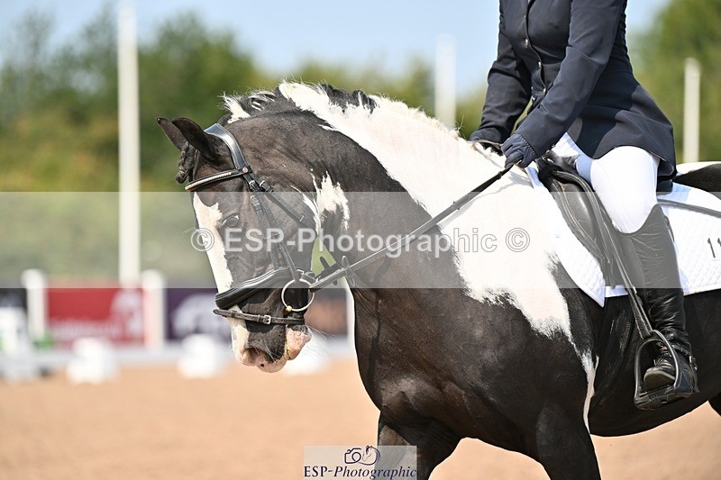 250816-132252-04670 - 114-Stacey.DonnisonPaddy.XIII