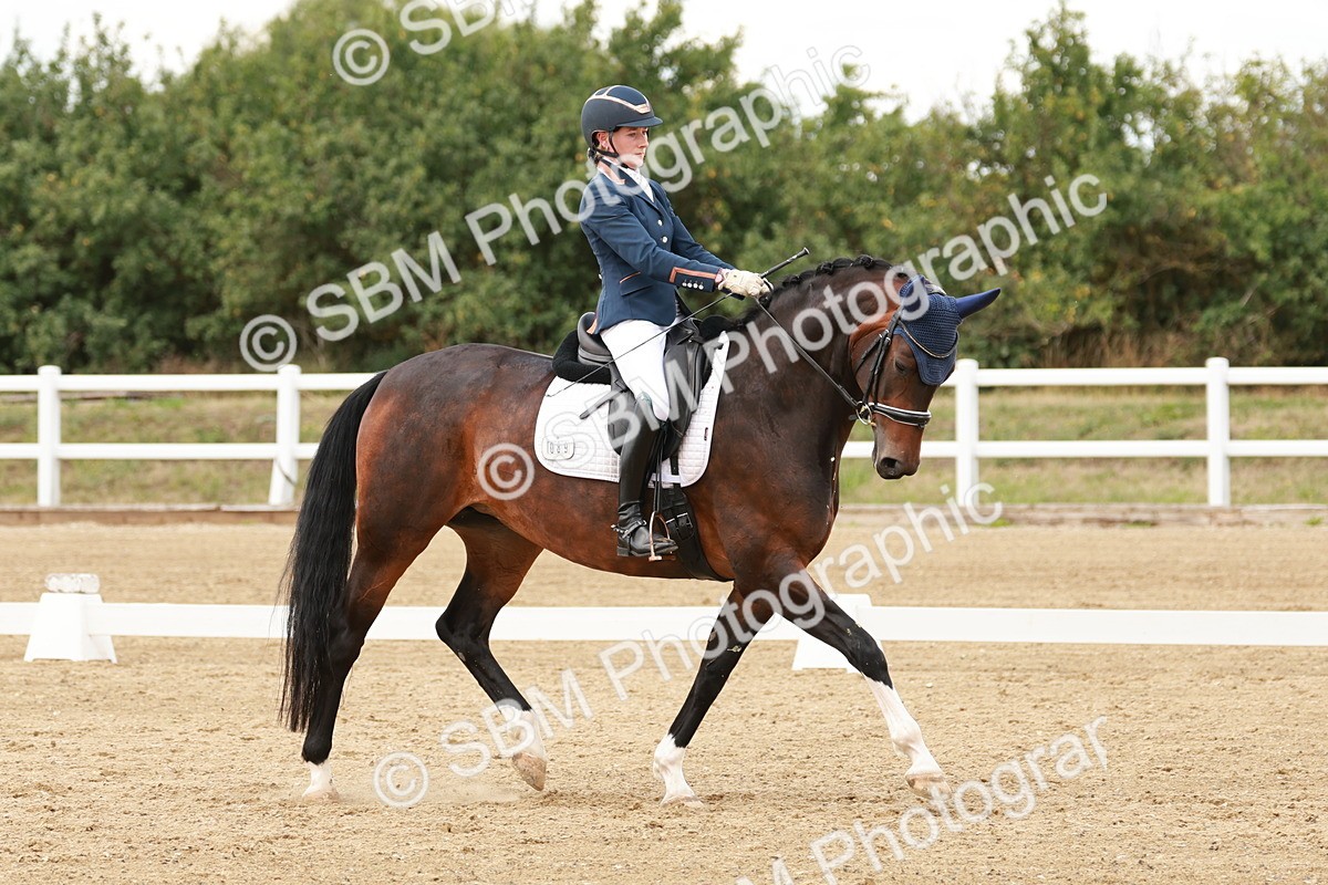 SBM_002166 - Class 11 - Medium 6