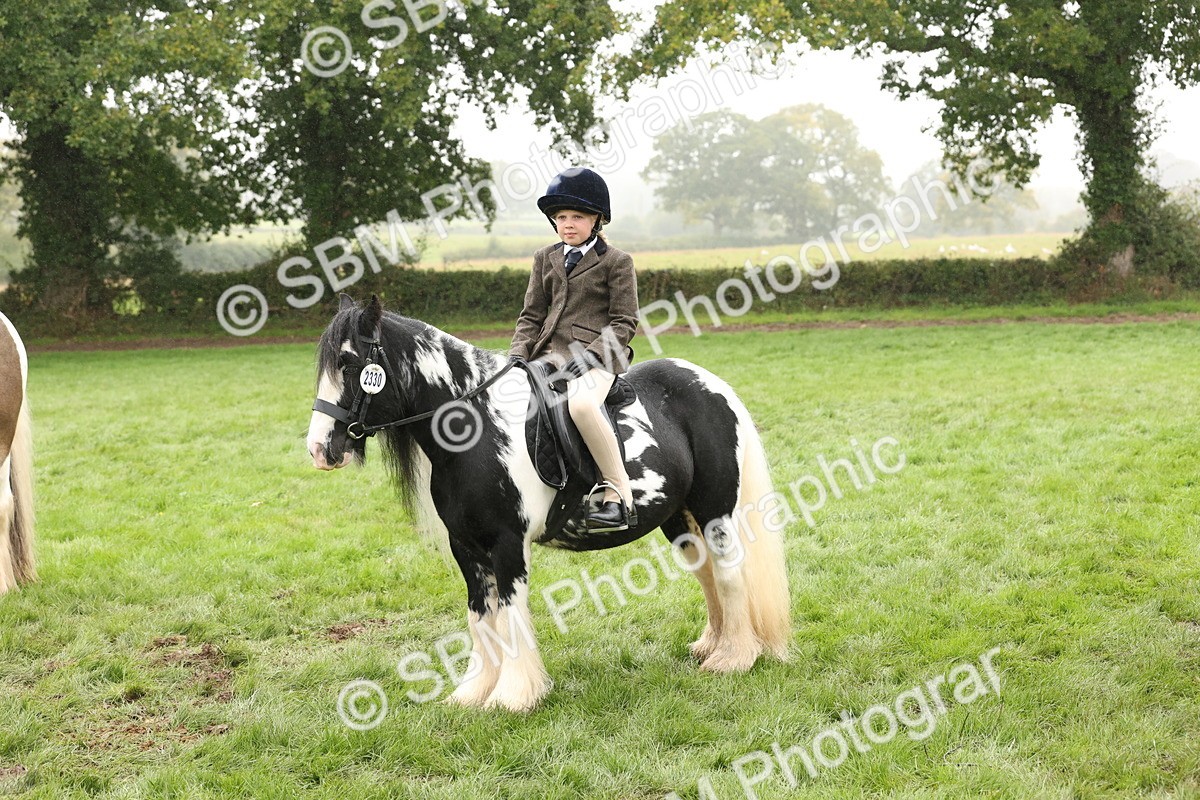 SBM_72776 - S70 - Traditional Cob Ridden