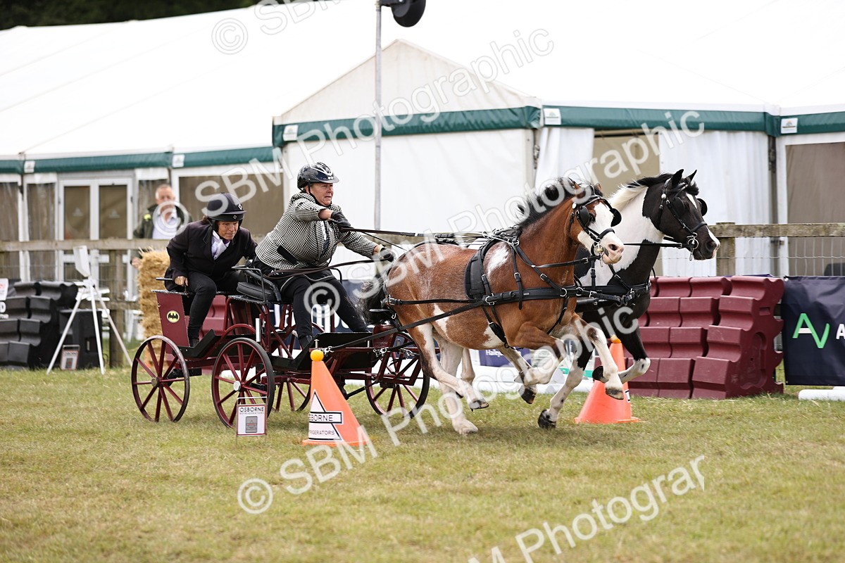 SBM_16029 - Class 91 - Scurry  exceeding 122cms