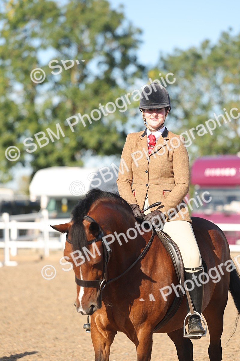 SBM_11055 - Class 302 - Ridden M&M Large Breeds