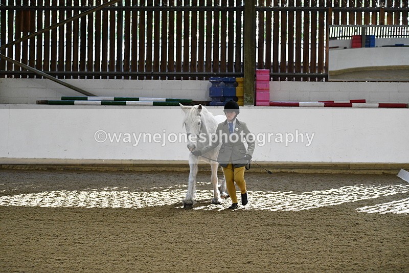 WJ5_3544 - Class 5 In Hand Veterans