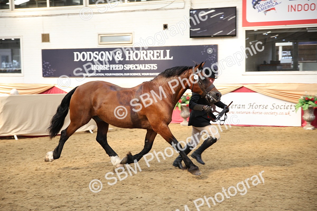 SBM_24737 - Class 906 - Supreme Final - Ridden Pre Vet