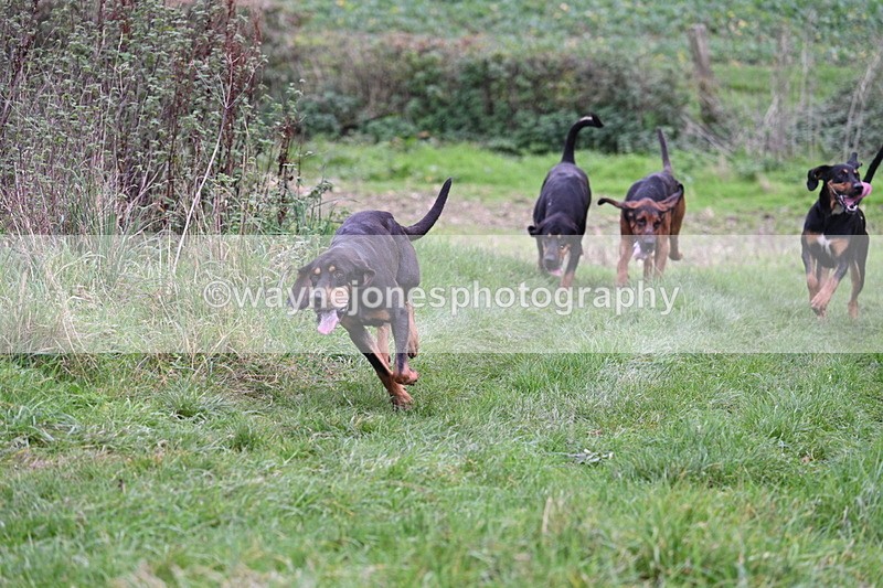 WJ7_8903 - Camera 1 only on this line