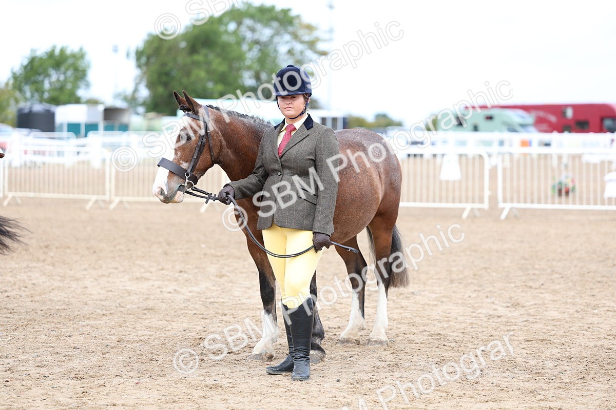 SBM_01509 - Class 17 - Prettiest Mare