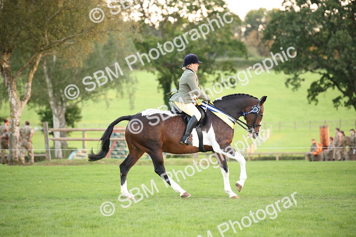 SBM_57098 - Super Supreme Championship