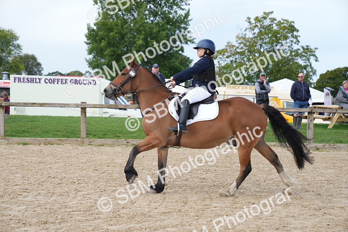 SBM_02554 - J55 - Clear Round 60cm