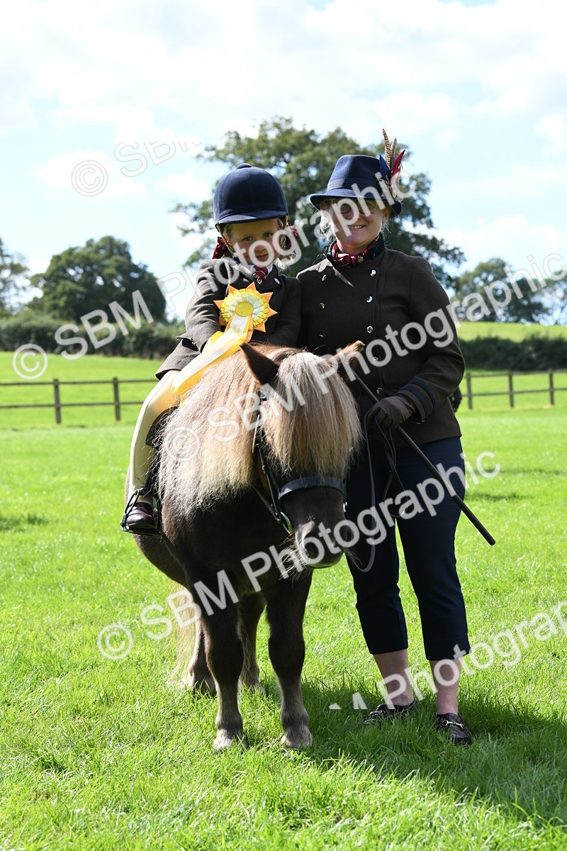 SBM_42647 - S20 - Lead Rein Mountain & Moorland Pony